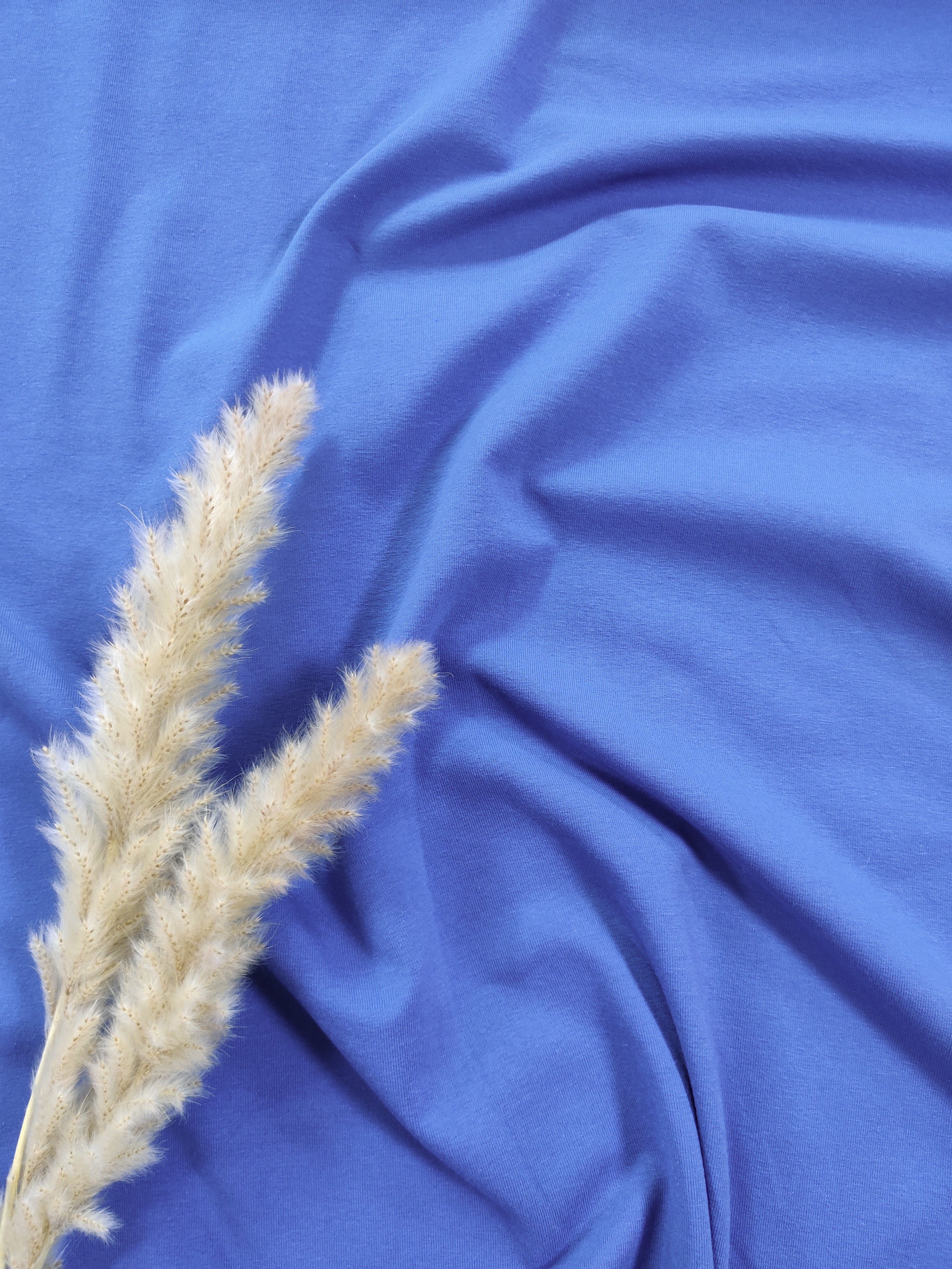 Jersey de coton - Bleu jeans clair