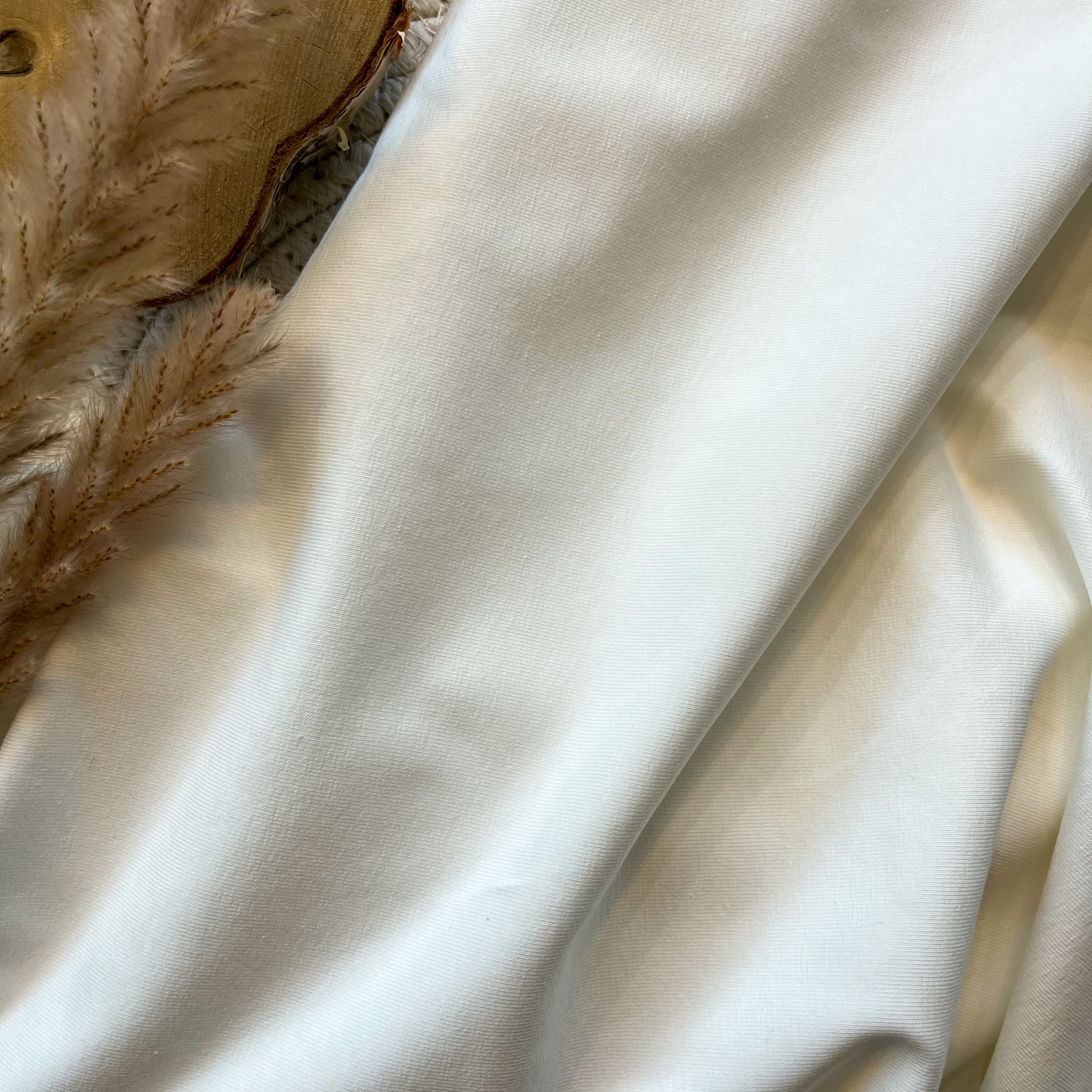 Jersey de coton BIO - écru