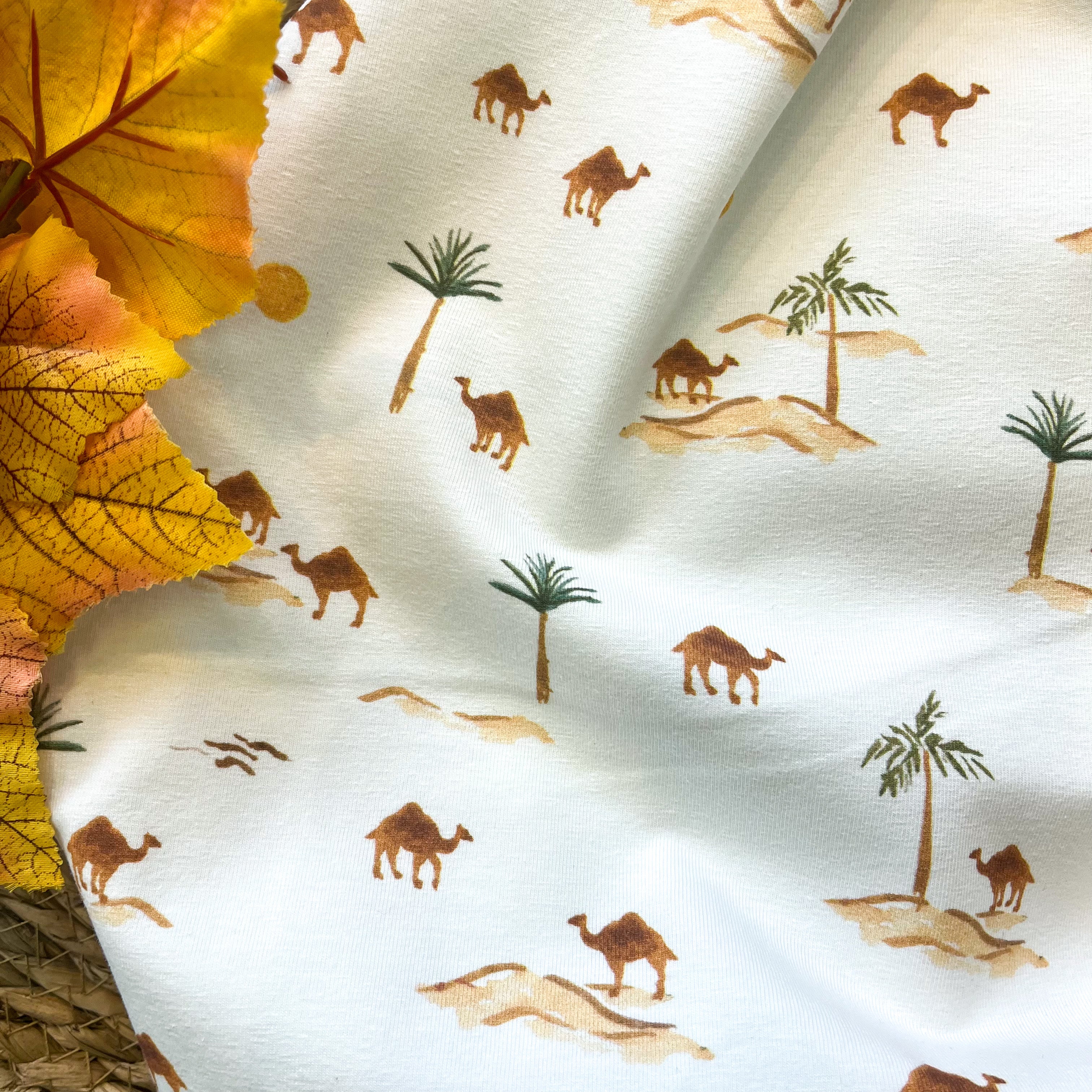 Jersey de coton - dans le désert